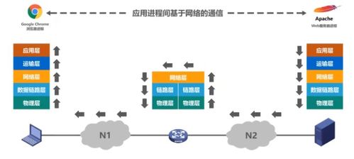 计算机网络 计算机网络体系结构